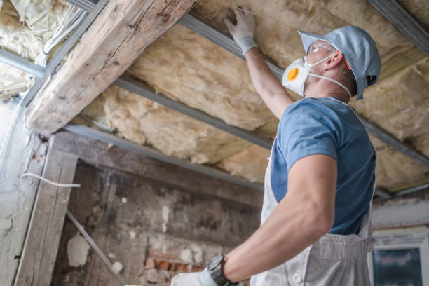 Best Cellulose Insulation in Jasmine Estates, FL