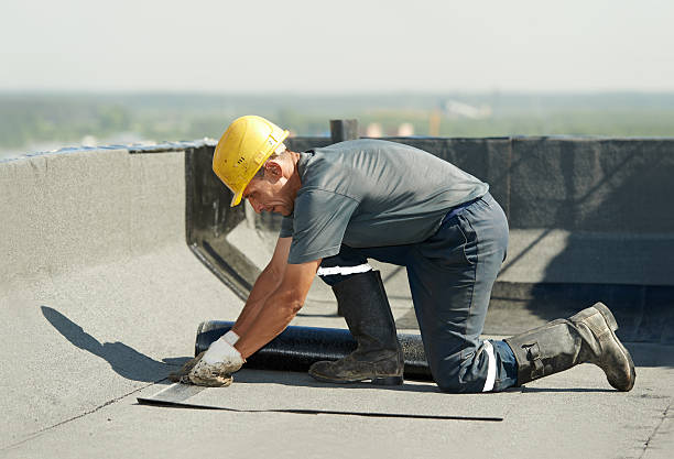  Jasmine Estates, FL Insulation Contractor Pros