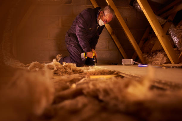 Best Spray Foam Insulation in Jasmine Estates, FL