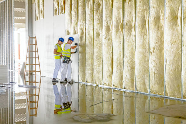 Best Eco-Friendly Insulation in Jasmine Estates, FL